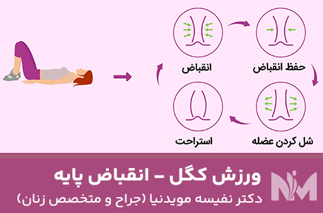 ورزش-کگل---انقباض-پایه